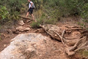 Explore Marbella's Nature: Guided Hiking And Foraging Trip