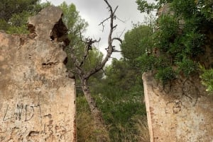 Explore Marbella's Nature: Guided Hiking And Foraging Trip