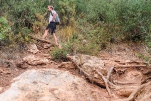 Explore Marbella's Nature: Guided Hiking And Foraging Trip