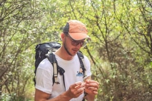 Explore Marbella's Nature: Guided Hiking And Foraging Trip