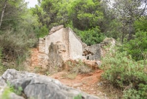 Explore Marbella's Nature: Guided Hiking And Foraging Trip