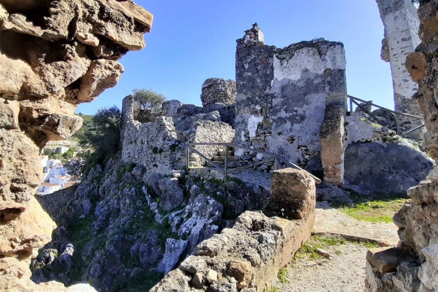 Från Costa del Sol: Casares privat tur