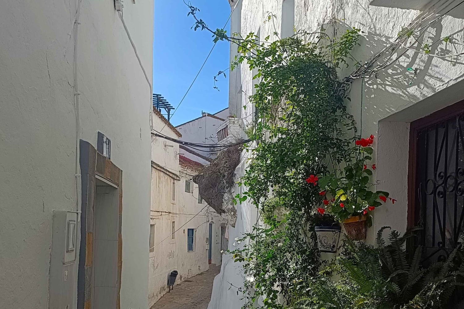 Från Costa del Sol: Casares privat tur