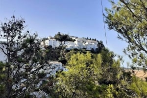 From Costa del Sol: Casares Private Tour