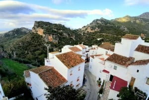 From Costa del Sol: Casares Private Tour