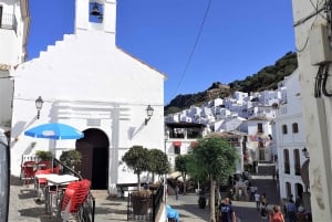 From Costa del Sol: Casares Private Tour