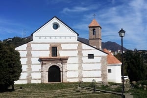 Från Costa del Sol: Casares privat tur