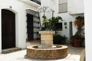 Från Costa del Sol: Casares privat tur