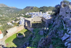 Från Costa del Sol: Casares privat tur