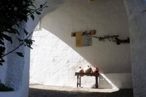 Från Costa del Sol: Casares privat tur