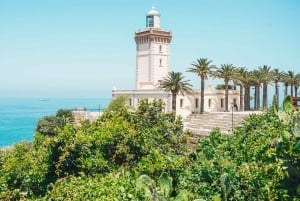 From Costa del Sol: Discover Tangier on a Guided Day Trip