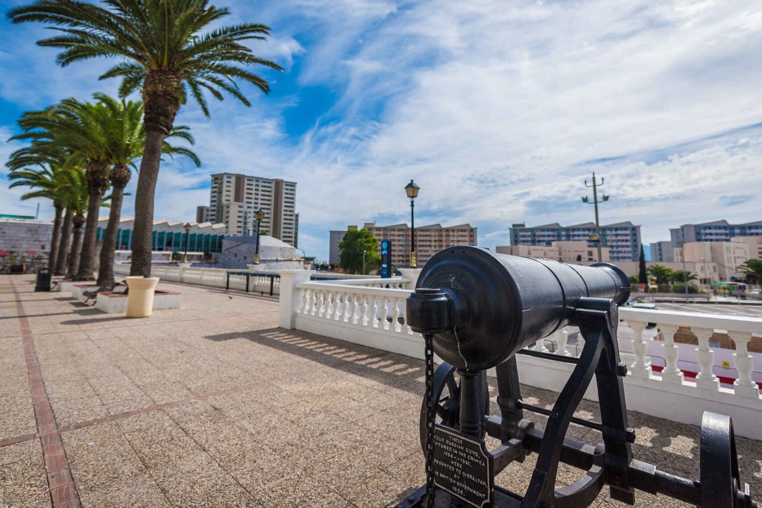 Desde la Costa del Sol: Gibraltar Avistamiento de Delfines en Barco