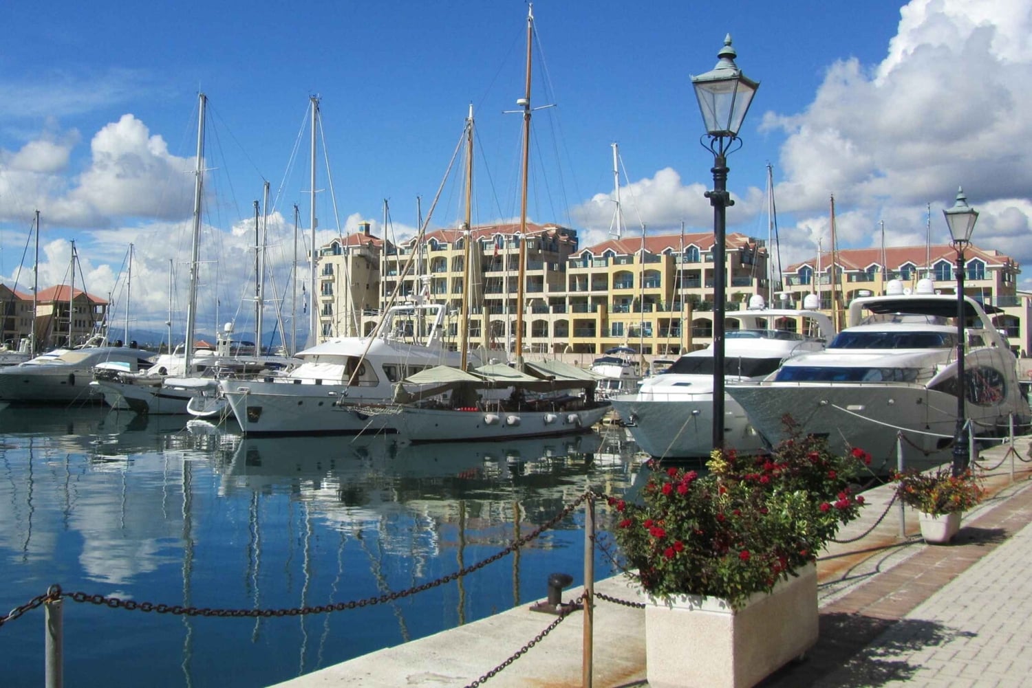 Desde la Costa del Sol: Gibraltar Avistamiento de Delfines en Barco