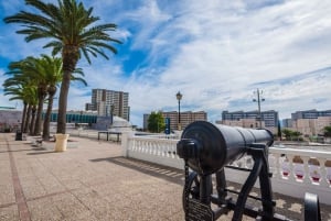 From Costa del Sol: Gibraltar Dolphin Watching by Boat