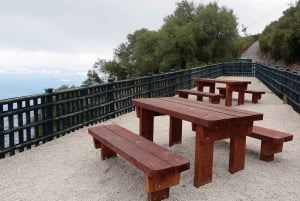 From Costa del Sol: Gibraltar Dolphin Watching by Boat