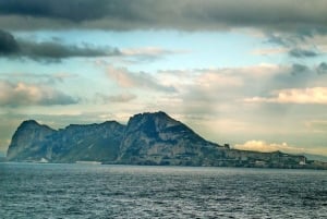 Desde la Costa del Sol: Gibraltar Avistamiento de Delfines en Barco