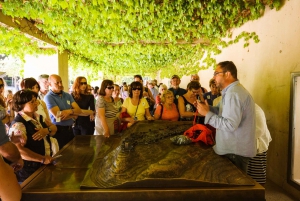 Från Costa del Sol: Heldagstur till Granada