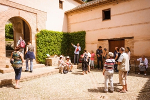 Från Costa del Sol: Heldagstur till Granada