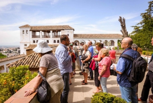 From Costa del Sol: Granada, Alhambra & Generalife Day Tour