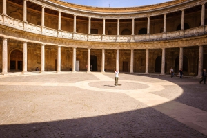 Från Costa del Sol: Heldagstur till Granada