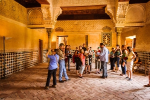 Från Costa del Sol: Heldagstur till Granada
