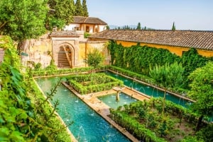 From Costa del Sol: Granada, Alhambra + Nasrid Palaces Tour