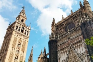 From Costa del Sol: Guided Tour of Seville
