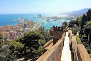 From Marbella: Malaga private Tour