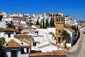 From Costa del Sol: Private Ronda Tour