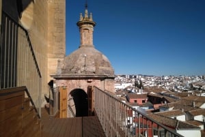 From Costa del Sol: Private Ronda Tour