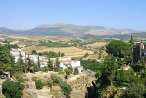 Von der Costa del Sol: Private Ronda Tour