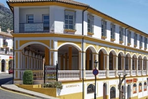 Desde la Costa del Sol: Ronda y Plaza de Toros