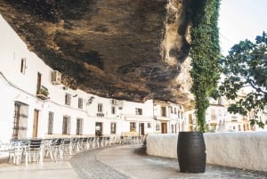 From Costa del Sol: Ronda and Setenil de las Bodegas