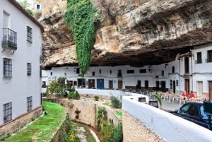 From Costa del Sol: Ronda and Setenil de las Bodegas