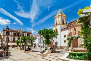 From Costa del Sol: Ronda and Setenil de las Bodegas