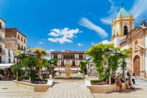 From Costa del Sol: Ronda and Setenil de las Bodegas