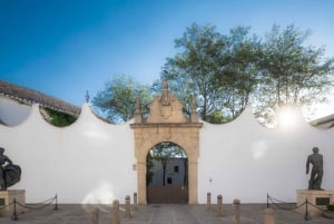 From Costa del Sol: Ronda Village Tour w/ Maestranza Ticket