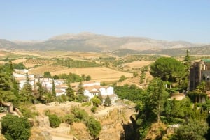 From Costa del Sol: Ronda Village Tour w/ Maestranza Ticket