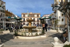 from Estepona, Marbella, Mijas: RONDA private tour incl. transportation and tapas