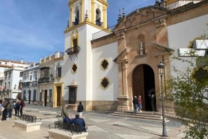 from Estepona, Marbella, Mijas: RONDA private tour incl. transportation and tapas