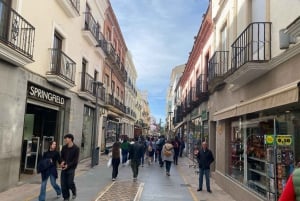 from Estepona, Marbella, Mijas: RONDA private tour incl. transportation and tapas