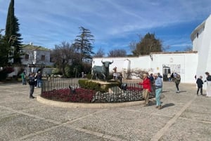 from Estepona, Marbella, Mijas: RONDA private tour incl. transportation and tapas