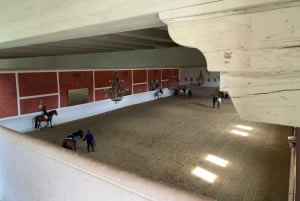 from Estepona, Marbella, Mijas: RONDA private tour incl. transportation and tapas