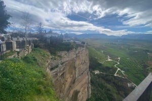 from Estepona, Marbella, Mijas: RONDA private tour incl. transportation and tapas