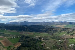 from Estepona, Marbella, Mijas: RONDA private tour incl. transportation and tapas