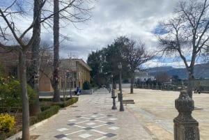 from Estepona, Marbella, Mijas: RONDA private tour incl. transportation and tapas