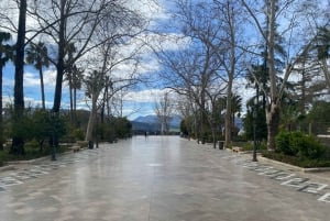 from Estepona, Marbella, Mijas: RONDA private tour incl. transportation and tapas