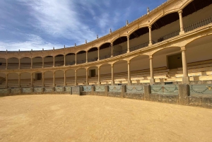 fra Estepona, Marbella, Mijas: RONDA privat tur inkl. transport og tapas