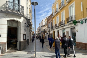 fra Estepona, Marbella, Mijas: RONDA privat tur inkl. transport og tapas