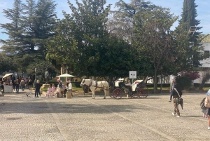 fra Estepona, Marbella, Mijas: RONDA privat tur inkl. transport og tapas